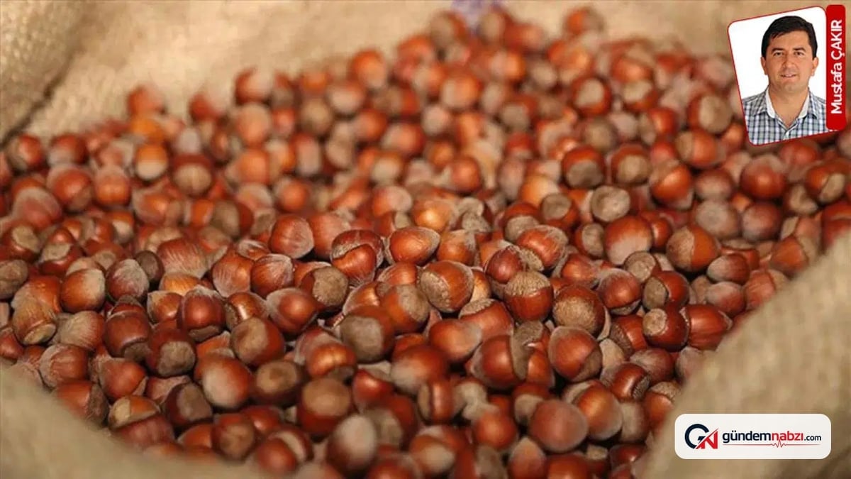 Tarımsal alım fiyatları beklentilerin altında kaldı