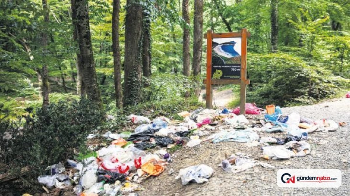 İstanbul ormanlarında doğaya bırakılan çöpler tehlike yaratıyor