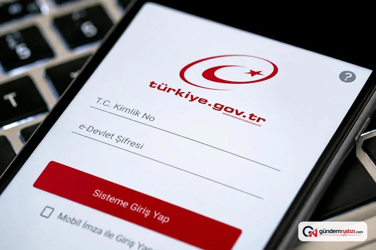 e-Devlet'te şirket kayıtları kontrol edilebiliyor