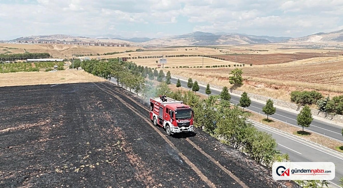 Adıyaman'da anız yangını ağaçlık alana sıçramadan söndürüldü