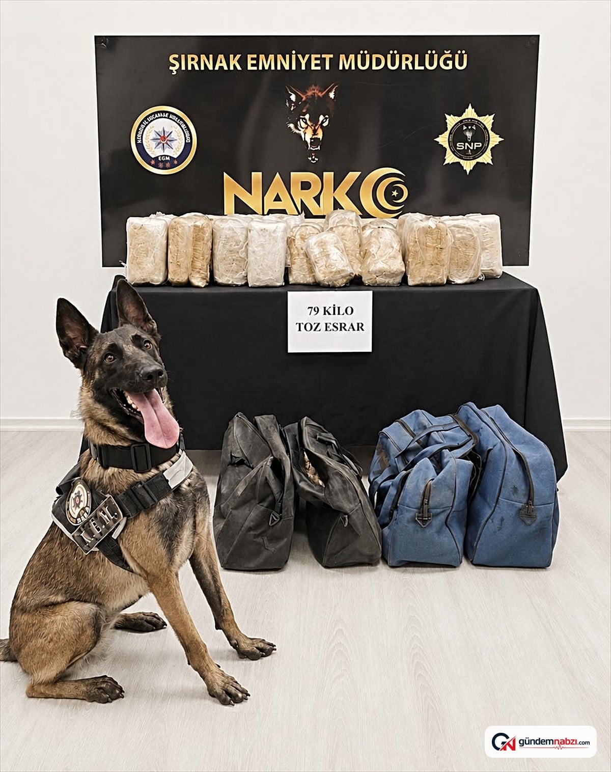 Şırnak'ta durdurulan tırda 79 kilo esrar bulundu