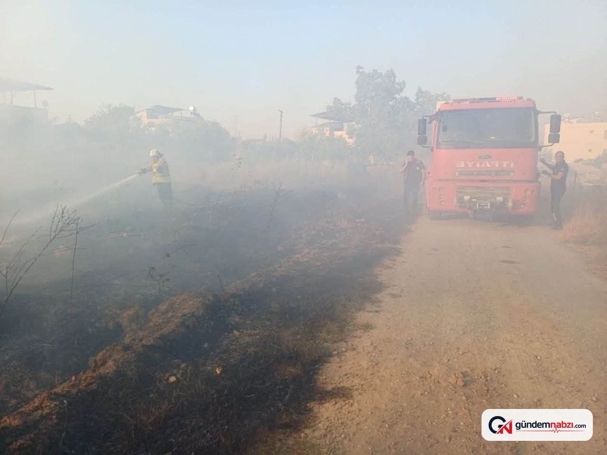 Hassa'da zeytinlik yangını kontrol altına alındı