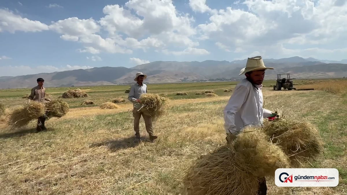 Hakkari'de çiftçiler, sulama ve sondaj talep ediyor