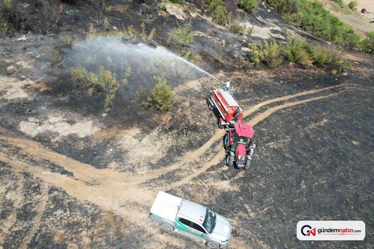 Kaynarca'da makilik alanda yangın kontrol altına alındı
