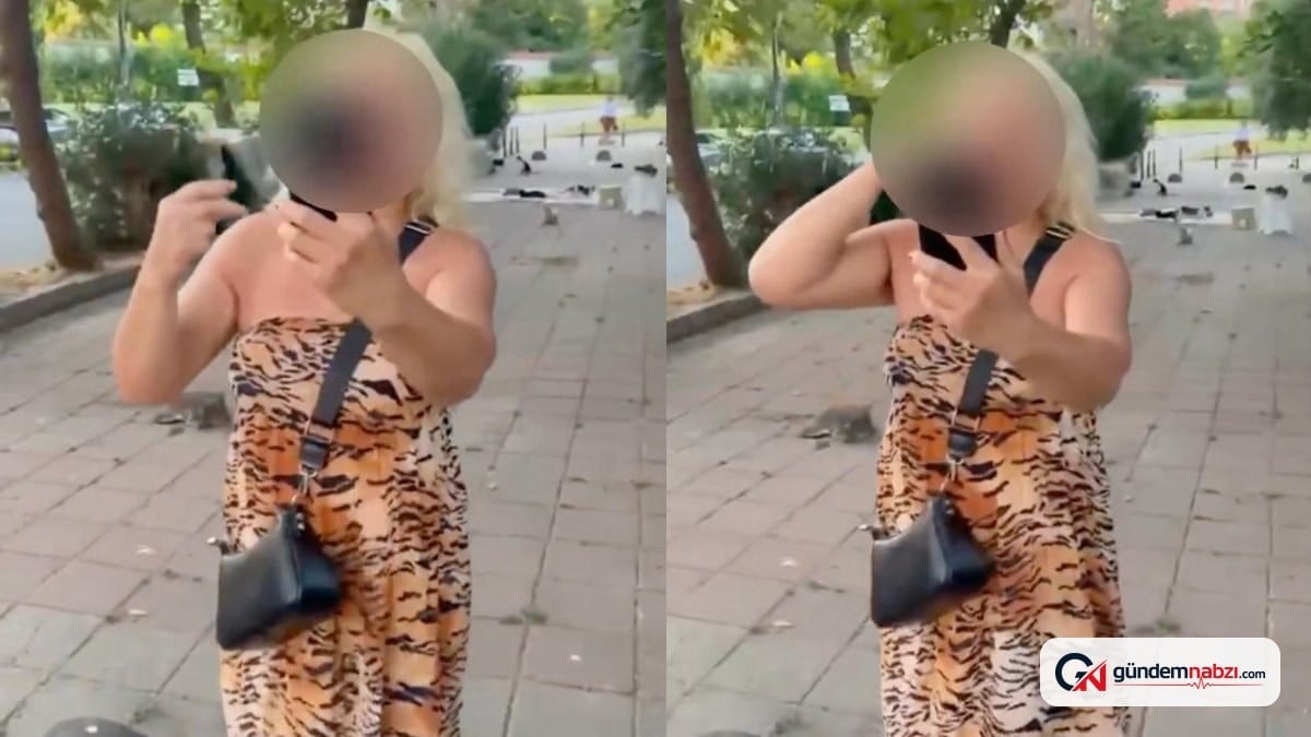 İstanbul'da kedi maması yüzünden tartışma: Kadın gözaltında
