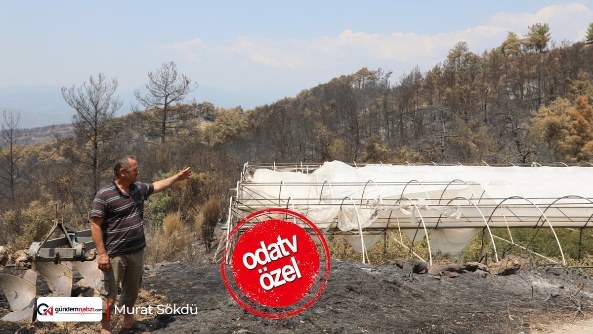 Muğla'da yangının izleri siliniyor: Üreticiye destek
