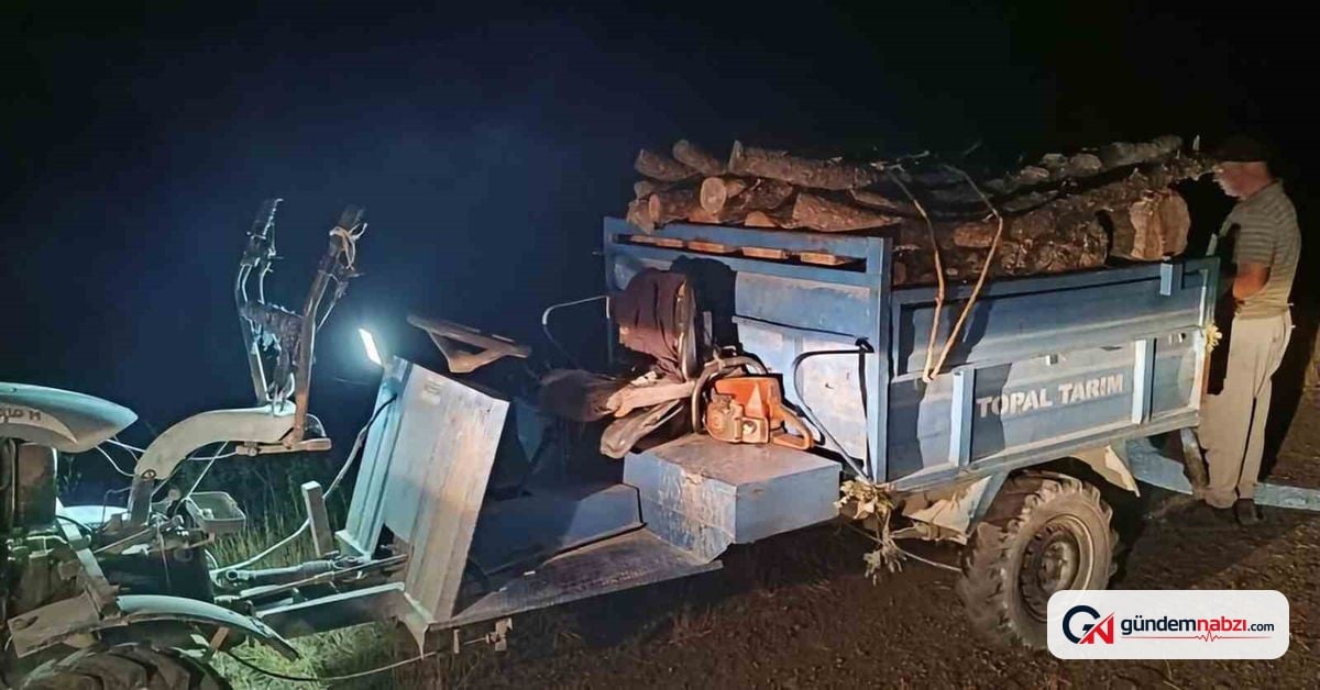 Antakya'da ormanda usulsüz kesim yapan kişiler yakalandı