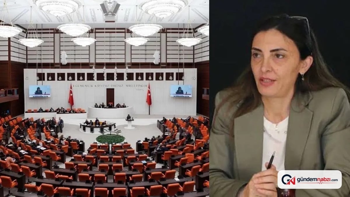 Yeni Parti, Çerçeve yasa için Genel Kurul'da 'evet' oyu verecek