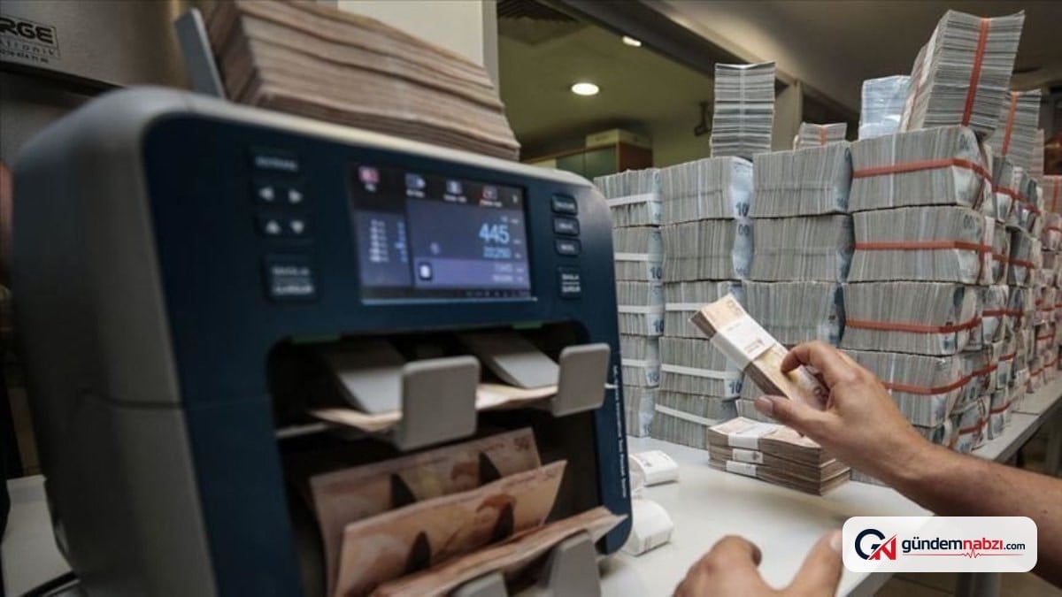 Maliye, yapay zeka ile 2 milyar liralık hatalı harcama tespit etti