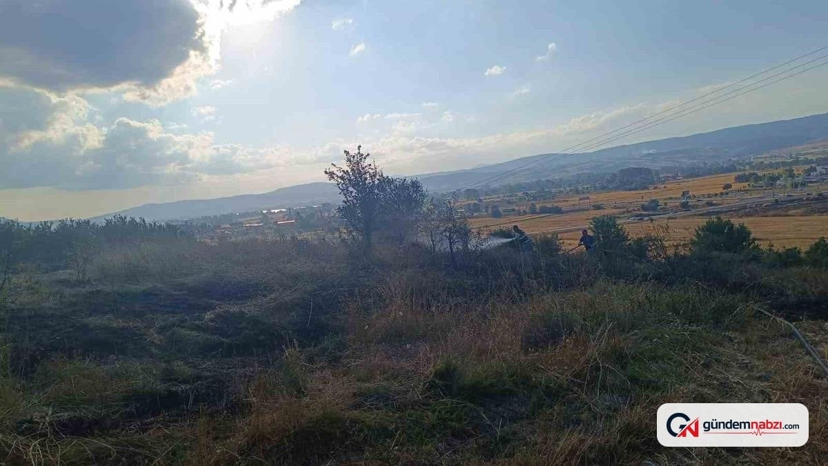 Bolu'da anız yangını, ağaçlık alana sıçramadan kontrol altına alındı