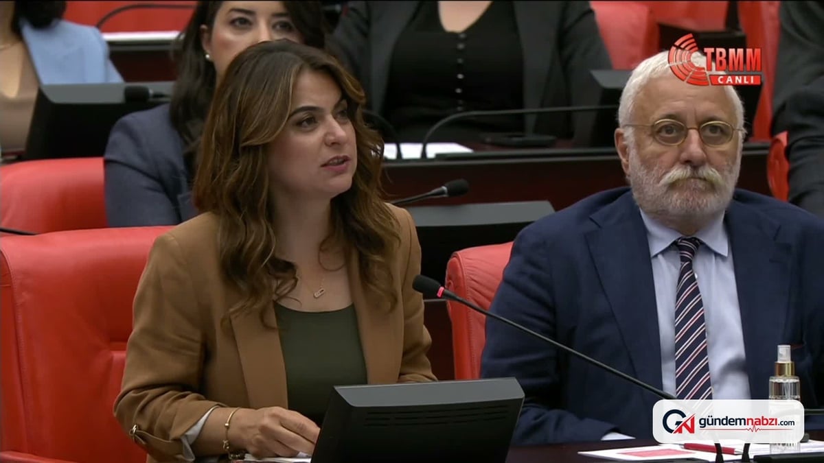 TBMM Genel Kurulu'nda Demirtaş ve Mızraklı'nın mesajı okundu