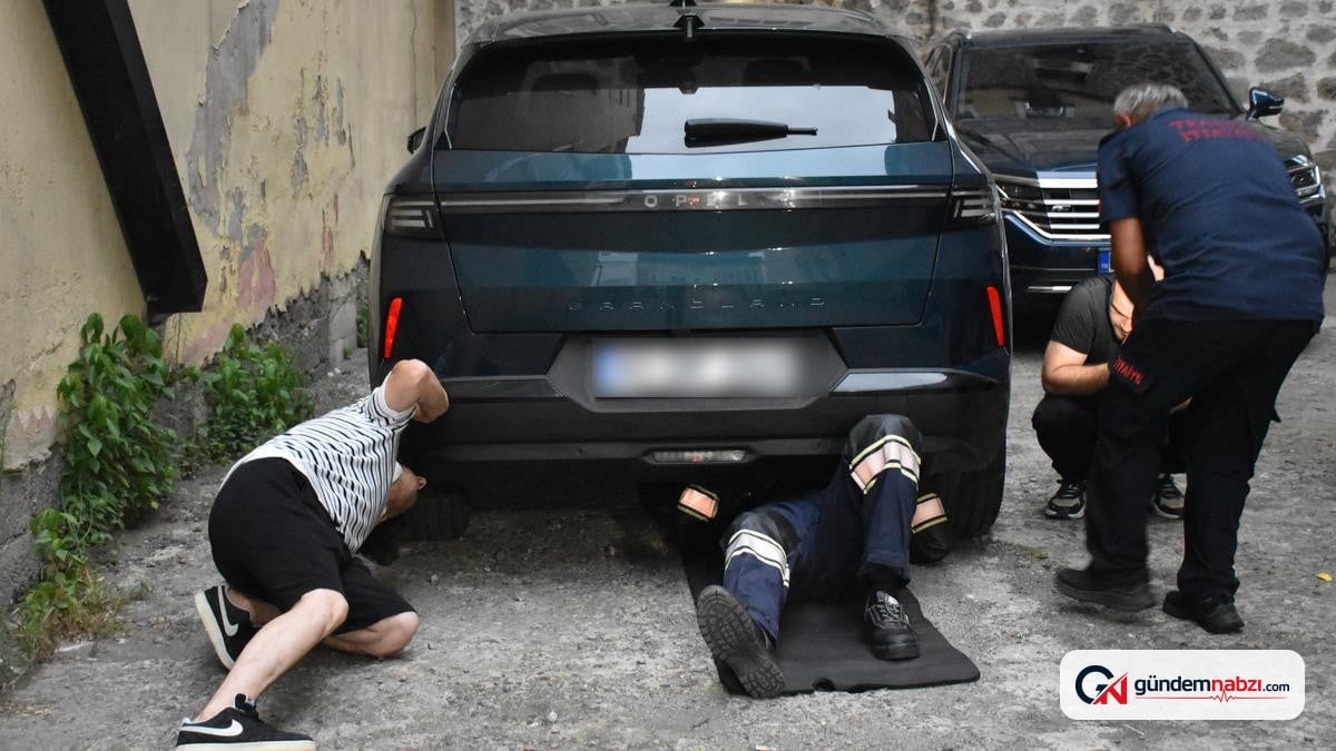 Trabzon'da yavruları için otomobilin peşinden koşan anne kedi kurtarıldı