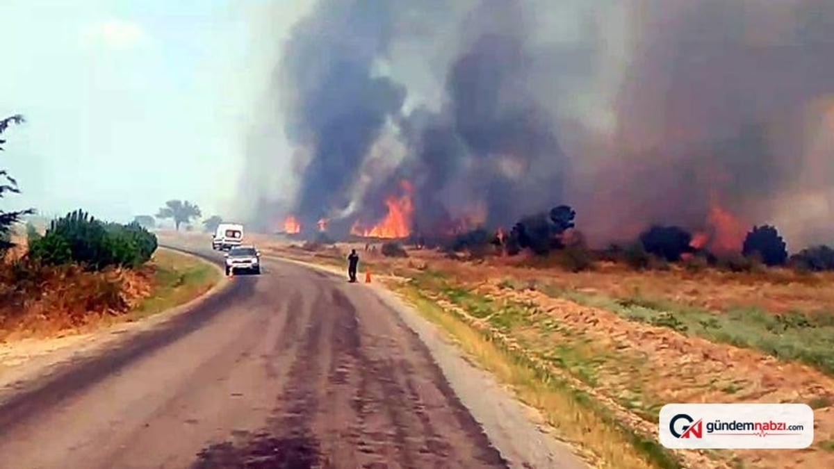 Edirne'de anız yangını ormana sıçradı, ekiplerin müdahalesiyle kontrol altına alındı