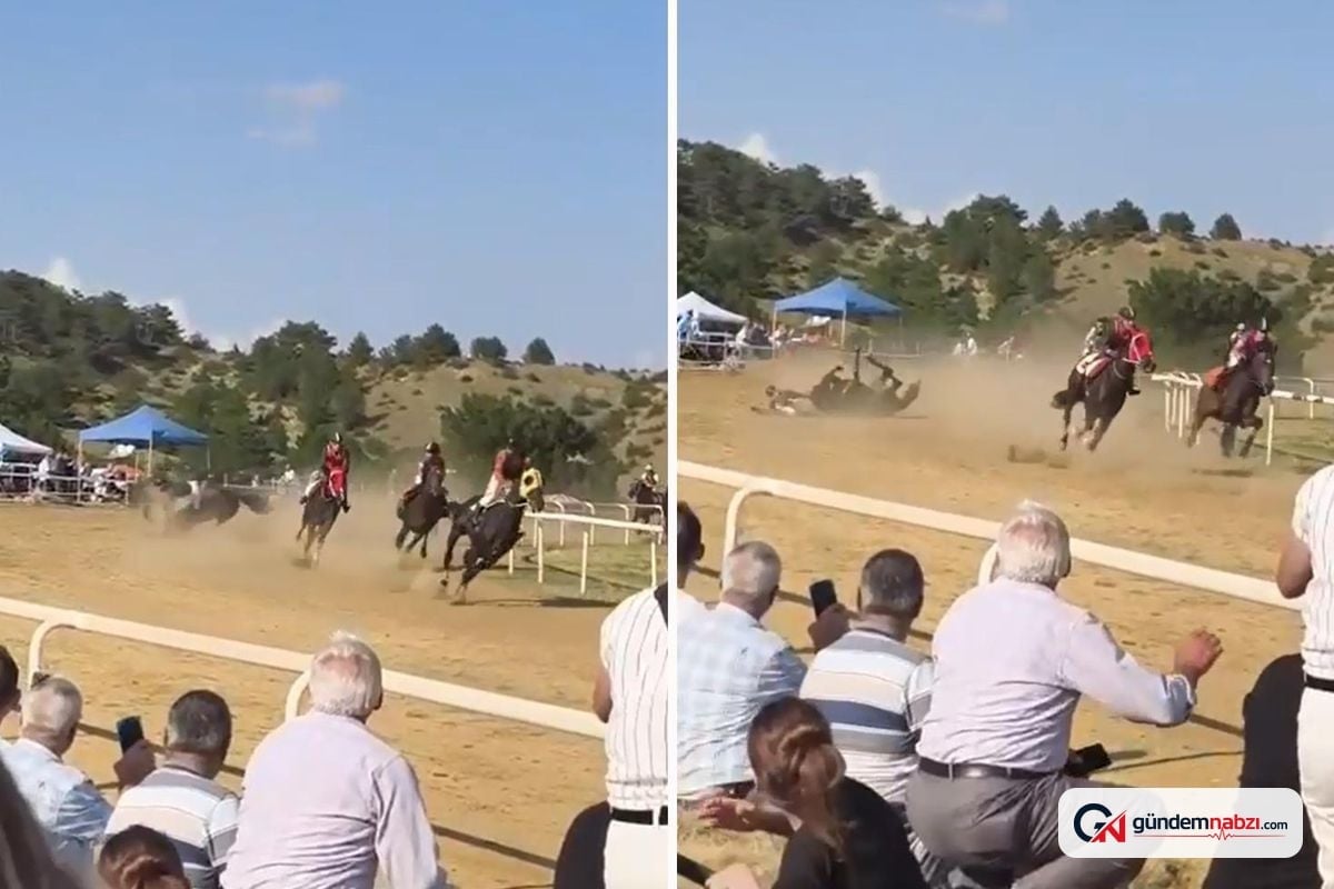 Taşköprü Sarımsak festivali'nde at yarışı kazası: 2 at öldü, jokey yaralandı