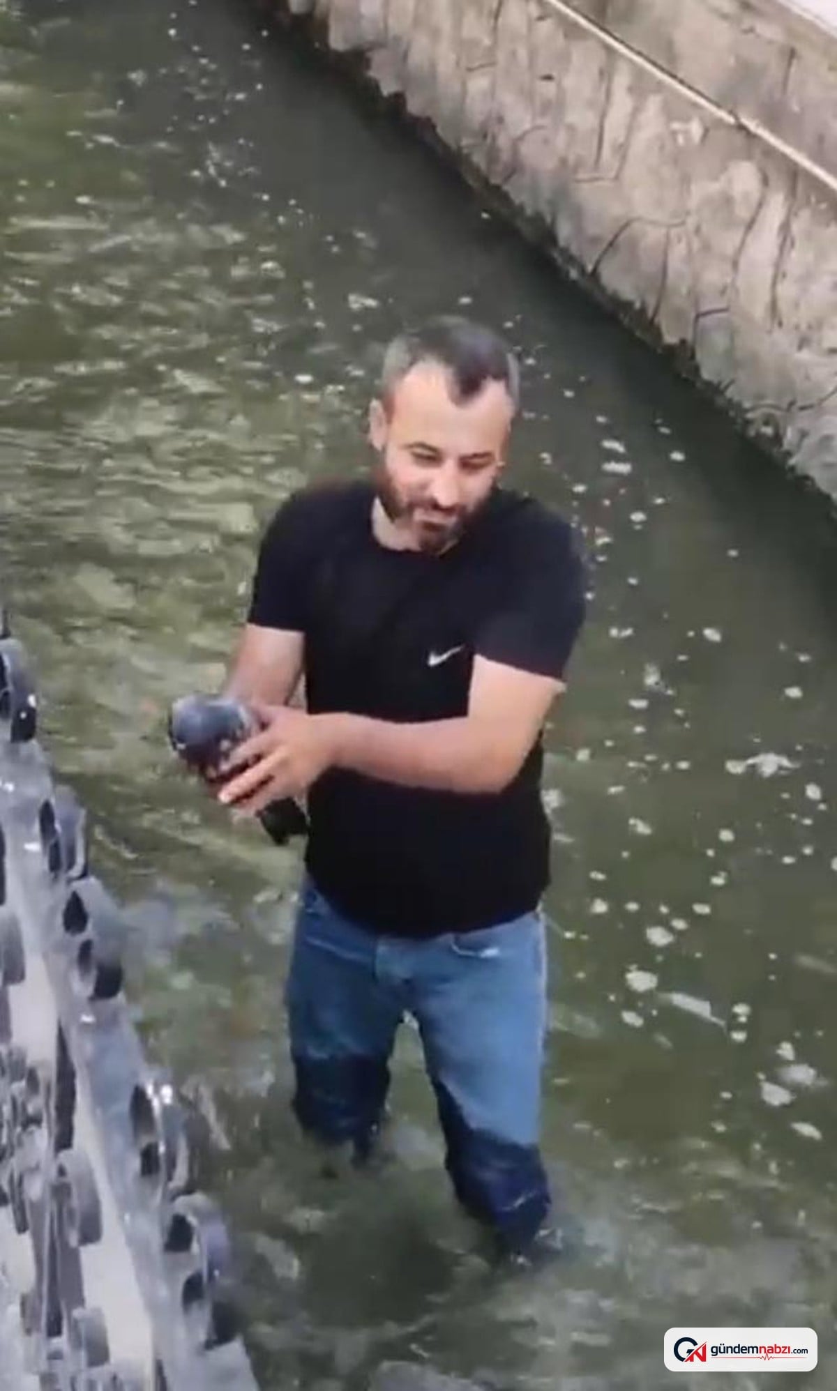 Malatya'da vatandaş su kanalındaki güvercini kurtardı