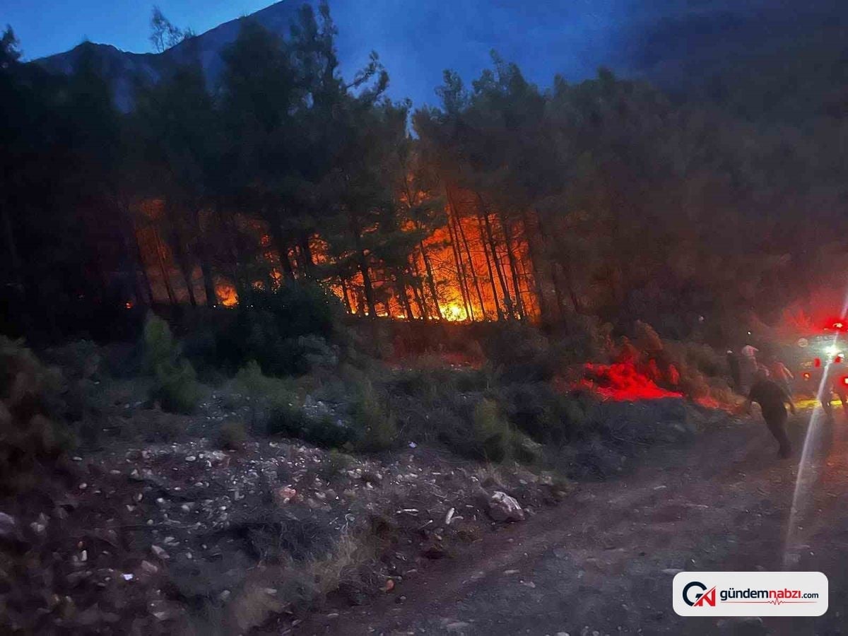 Antalya Alanya'da Orman yangını kontrol altına alındı