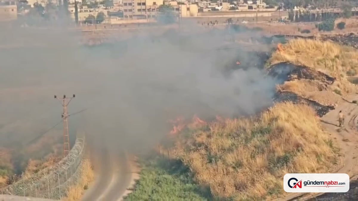 Mardin sınırında çıkan anız yangını kontrol altına alındı