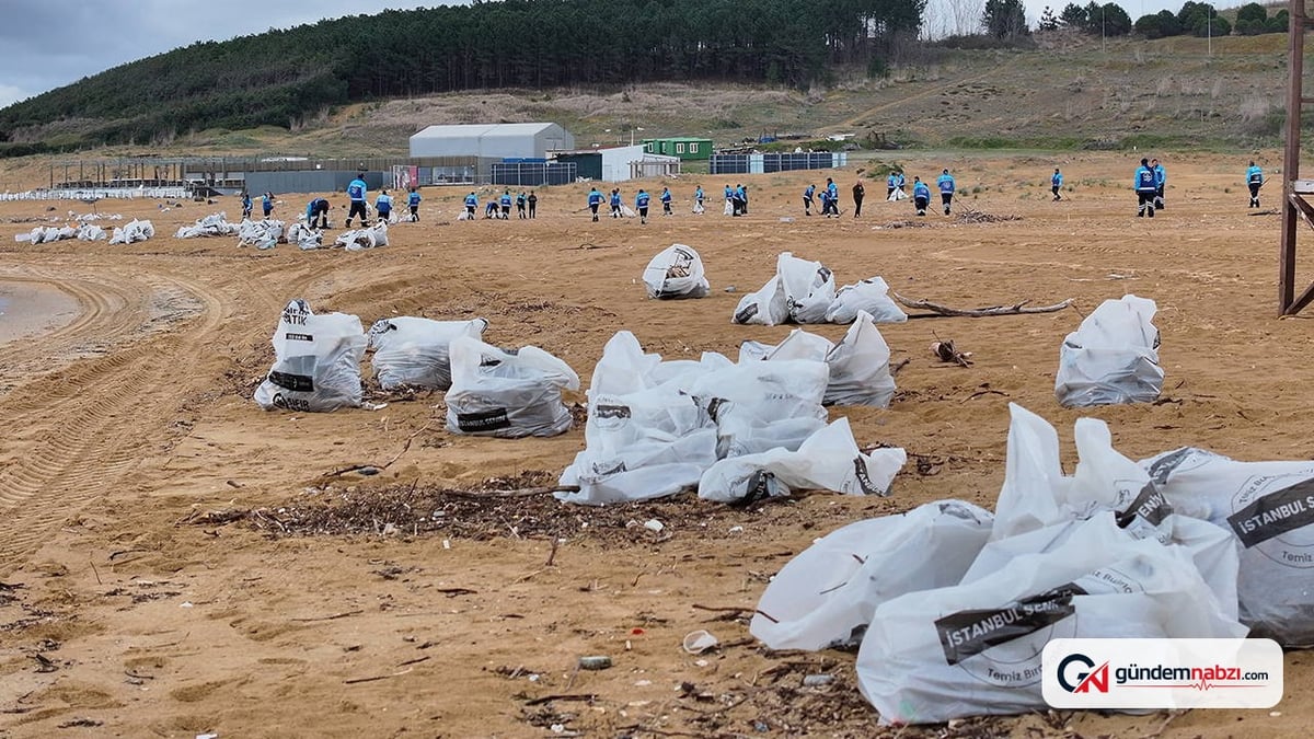 İstanbul'da kıyı ve plajlardan 5 bin 291 ton atık toplandı