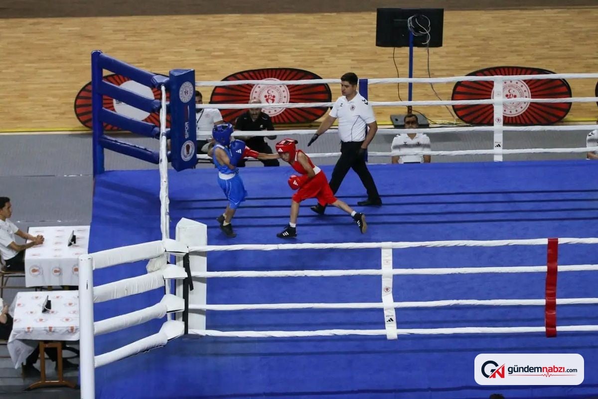 Sivas'ta minik boksörler Türkiye şampiyonluğu için ringde