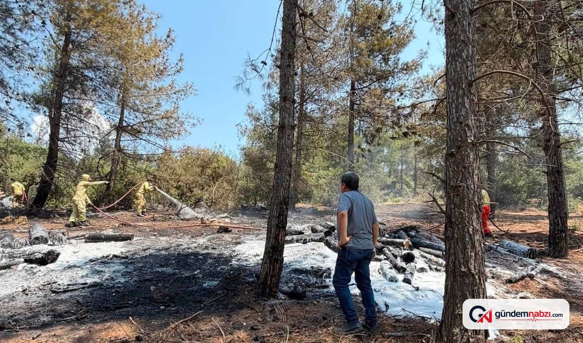 Gaziantep İslahiye'de orman yangını 1 saatte kontrol altına alındı