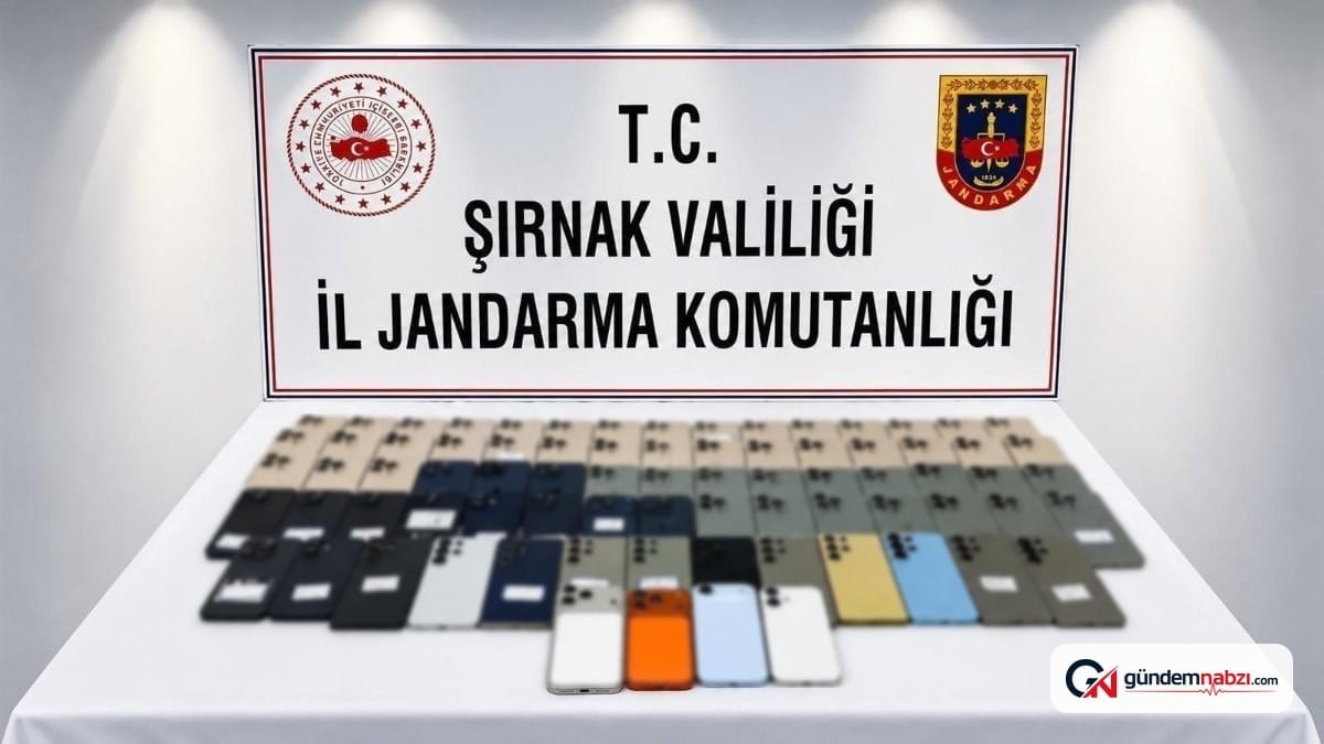 Şırnak'ta 82 milyon liralık kaçak ürün ele geçirildi