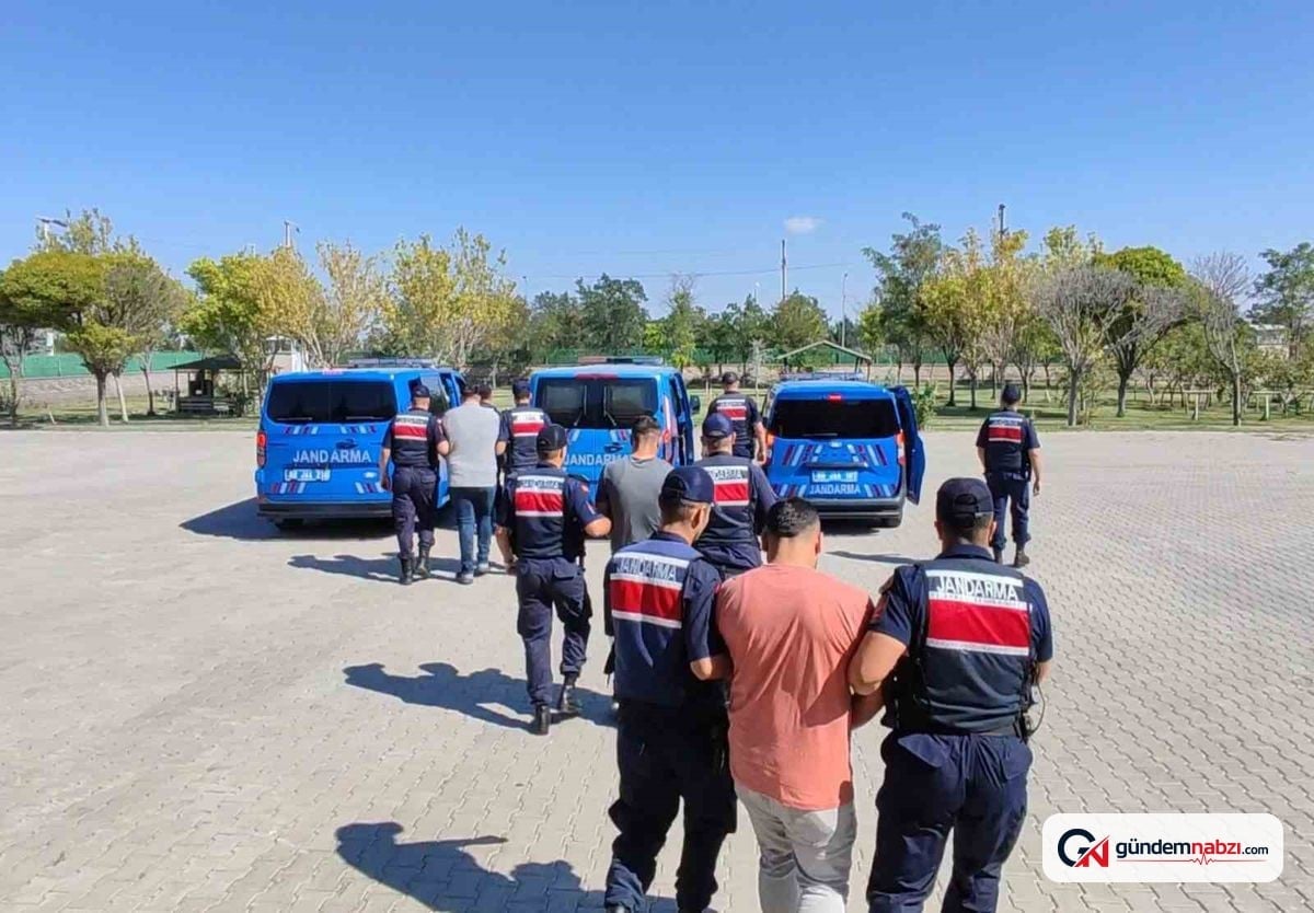 Aksaray'da köpek dövüştürüp görüntü paylaşan 3 şüpheli yakalandı