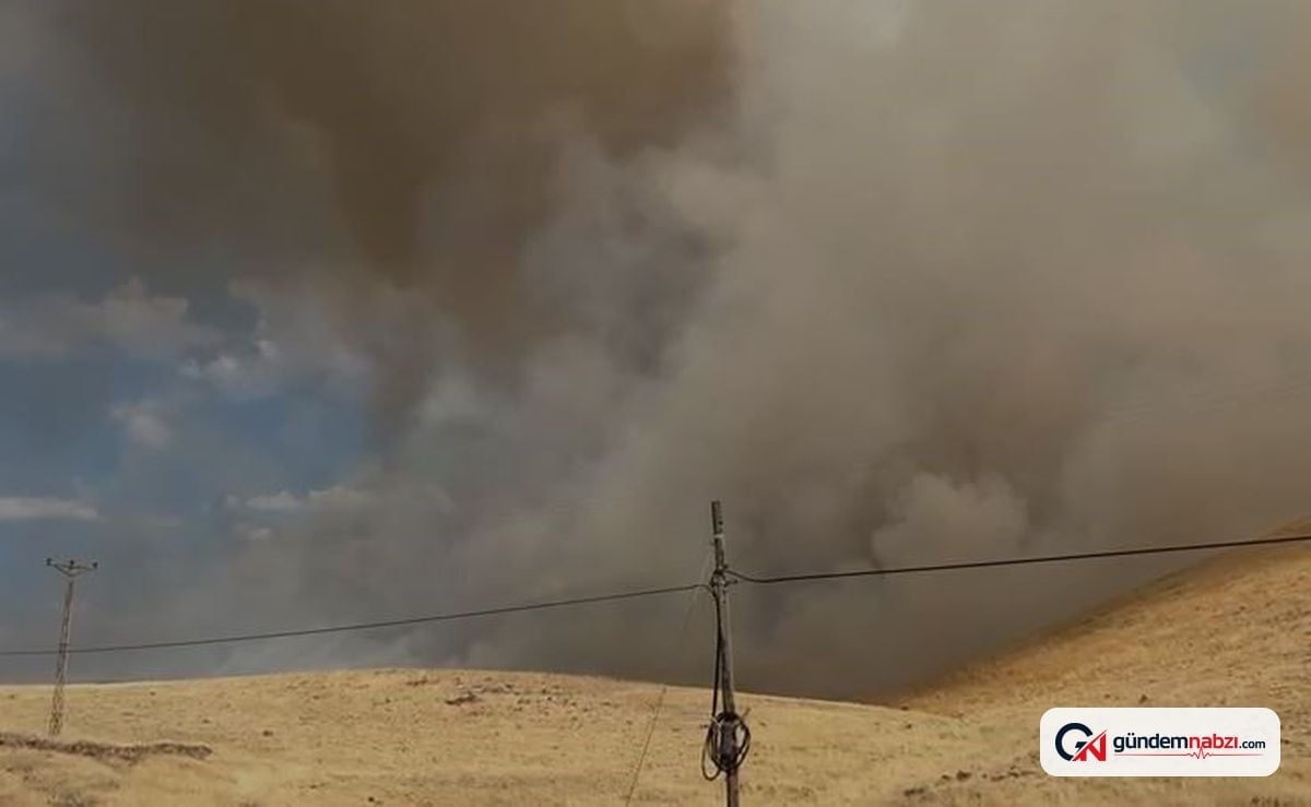 Elazığ'da örtü yangını çıktı, rüzgar alevleri büyüttü