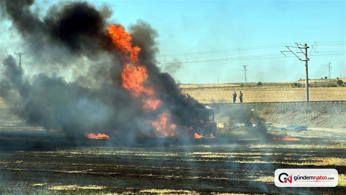 Edirne'de TIR'daki yangın, tarlaya sıçradı