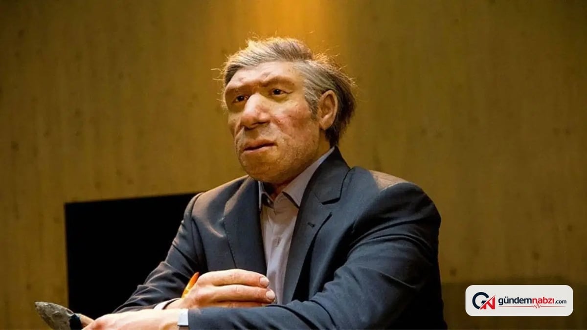 neandertal genetik mirasının modern insanın boyunu ve kasını etkilediği keşfedildi