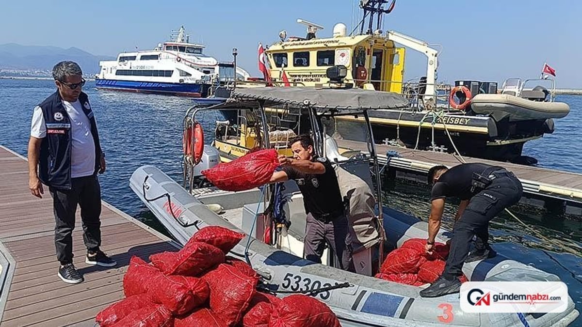 İzmir'de yasa dışı avlanan 560 kilo kara midyeye el konuldu