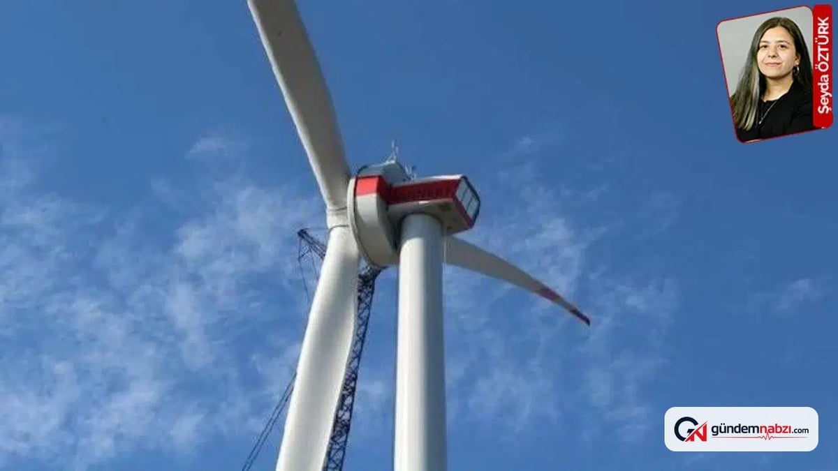 Danıştay, Muğla'daki rüzgar enerji santralinin onayını iptal etti