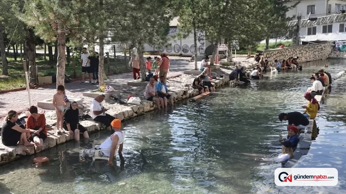 Sivas Kangal Balıklı kaplıcası küresel marka oluyor