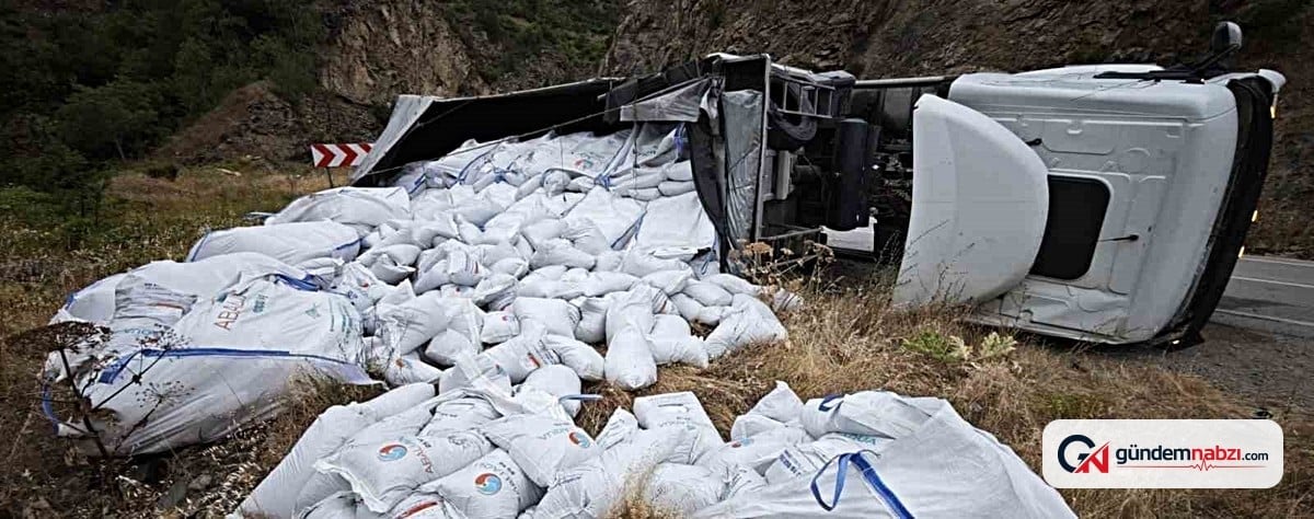 Gümüşhane'de balık yemi yüklü tır devrildi, sürücü yaralandı