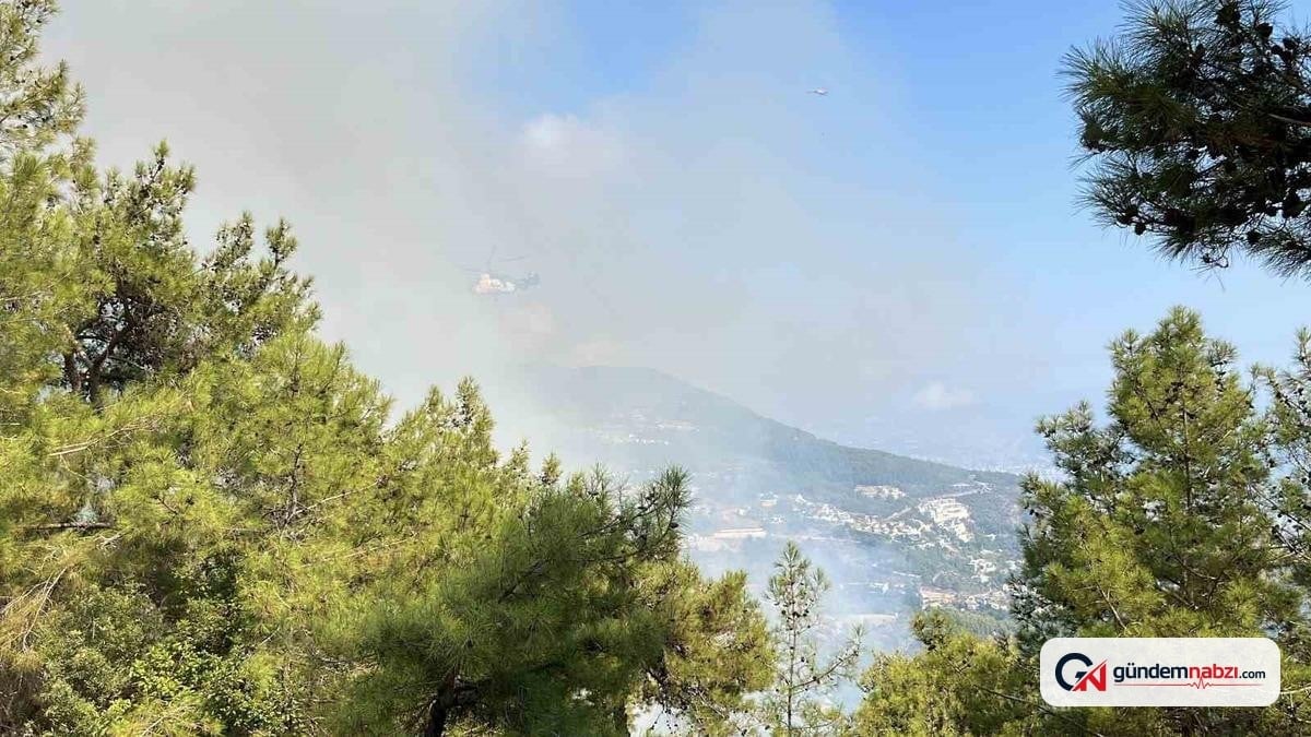 Antalya'nın Alanya ve Konyaaltı ilçelerinde orman yangını çıktı