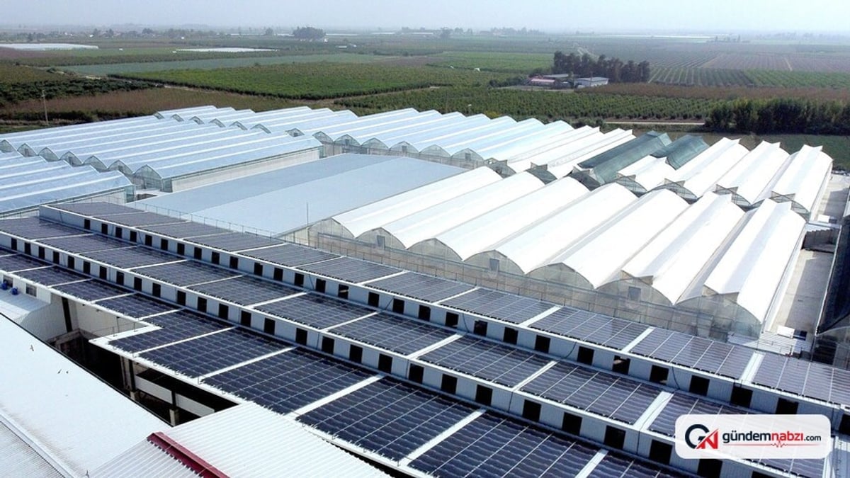 Bakan Yumaklı'dan tarımda yenilenebilir enerji vurgusu: 2,8 milyar lira destek