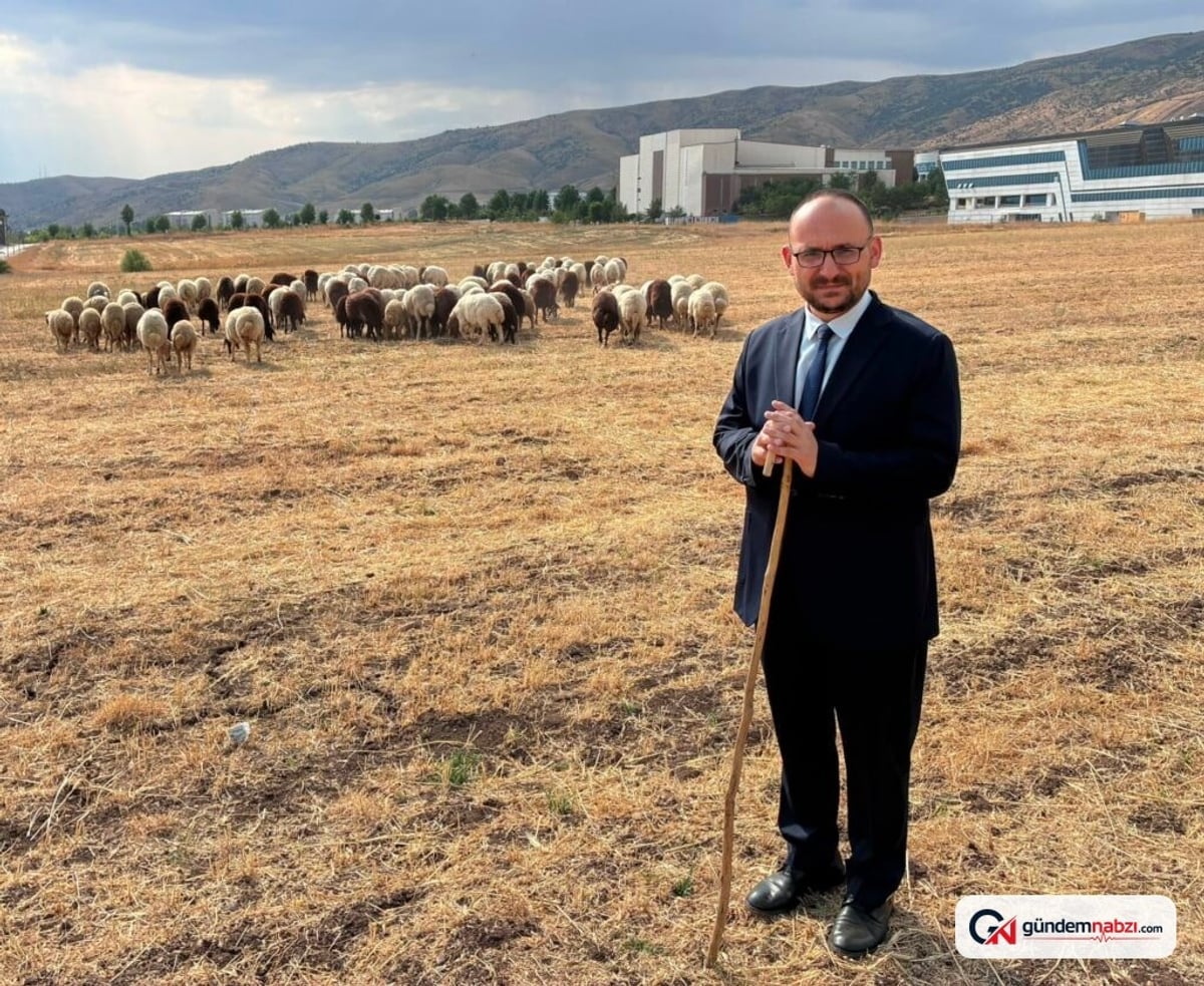Muş Alparslan üniversitesi rektöründen koyun fotoğrafına açıklama geldi