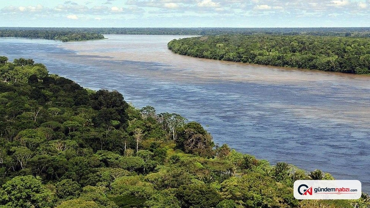 Amazon nehri'nde köprü yok: Yetersiz karayolu ve doğal engeller