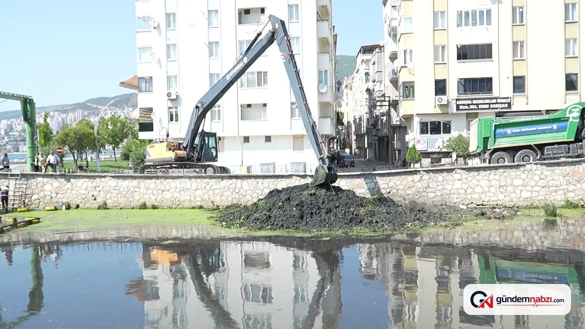 Bursa'da dere temizliğini inceleyen Biba: Kaynakları kurutacağız