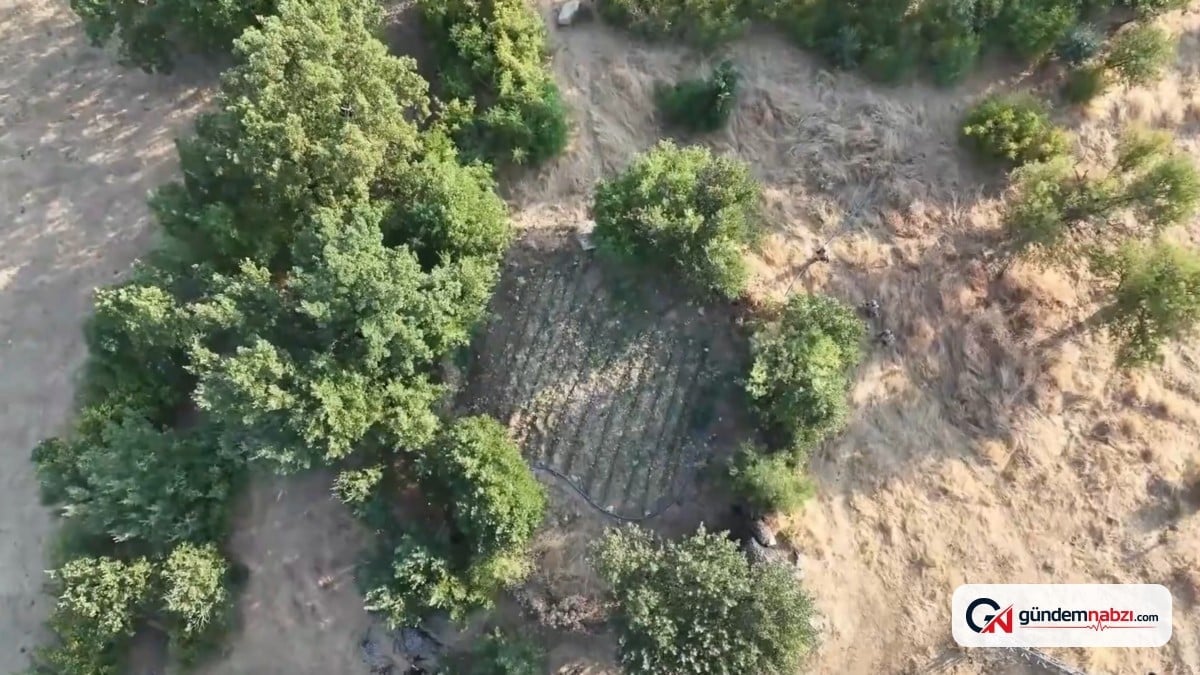Diyarbakır'da uyuşturucu operasyonu: 17 şüpheli yakalandı