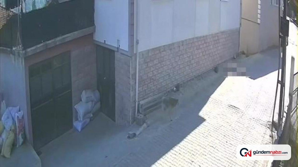 Zonguldak'ta balkon demirlerine yaslanan kadın düştü, hayatını kaybetti
