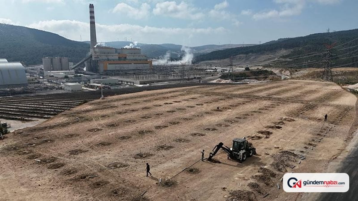Sivas'ta termik santralin atık suyu serada kullanılacak