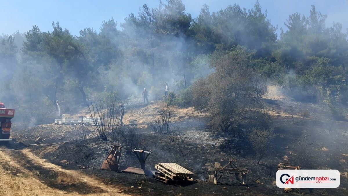 Bolu'da otluk alanda çıkan yangın, ormanlık alana sıçramadan kontrol altına alındı