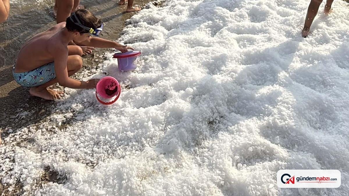Muğla'da işletmeci sahile tonlarca buz döktü