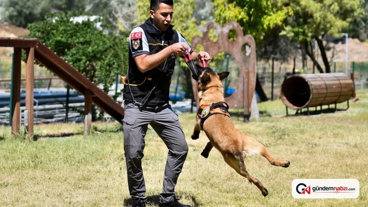 Ankara'da K9 ekipleri park ve meydanlarda nöbette