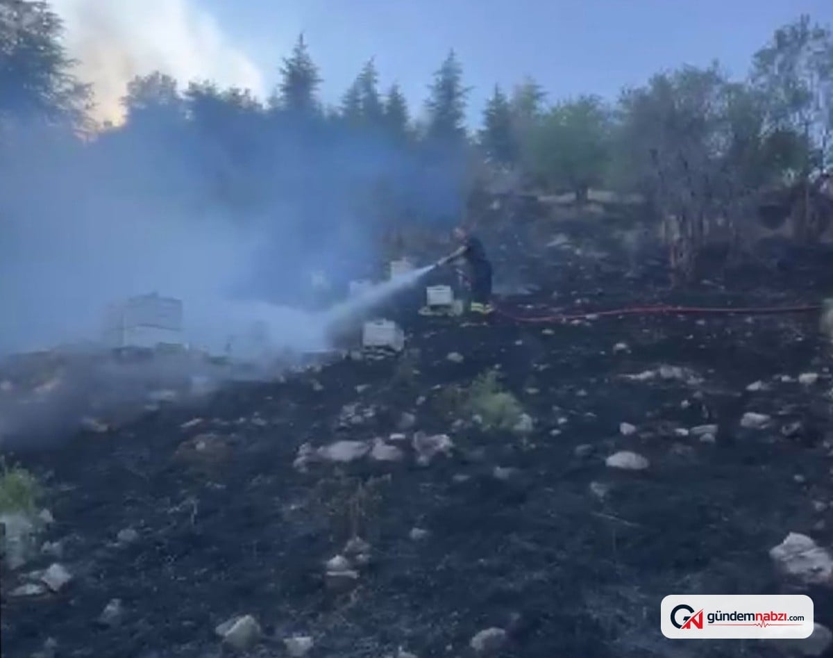 Isparta'da arı kovanlarındaki yangın itfaiyecilere zor anlar yaşattı
