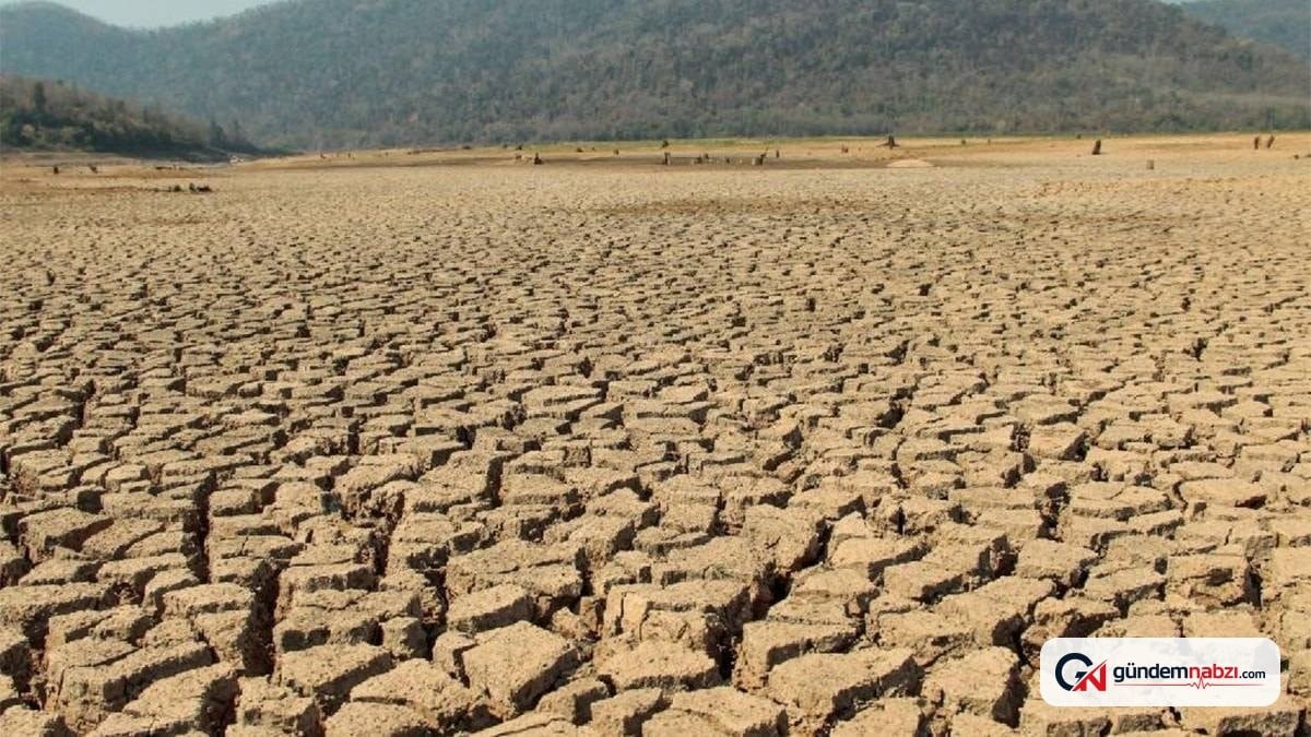 İngiltere'de kuraklık krizi: 27 milyon kişiye su kısıtlaması geldi