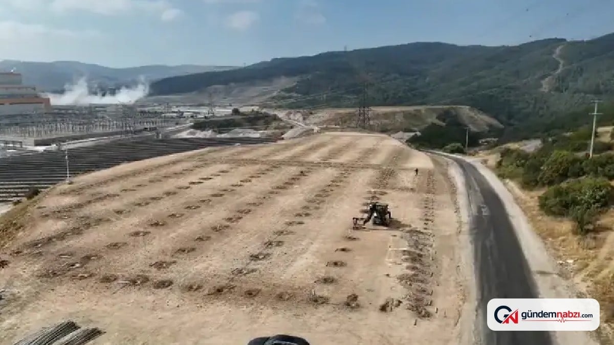 Manisa'da termik santralin atık ısısıyla salkım domates üretilecek