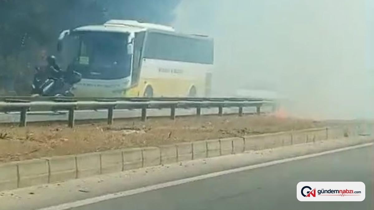 Bursa'da anız yangını nedeniyle trafik aksamaları yaşandı