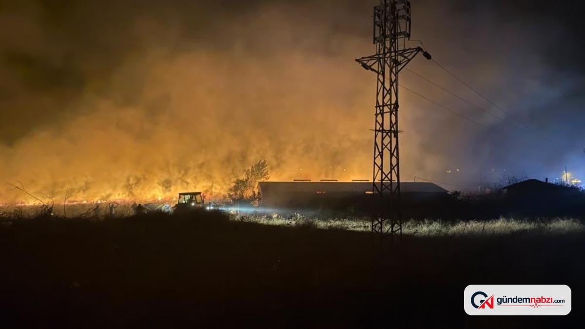 Çanakkale'de otluk alanda çıkan yangın kontrol altına alındı