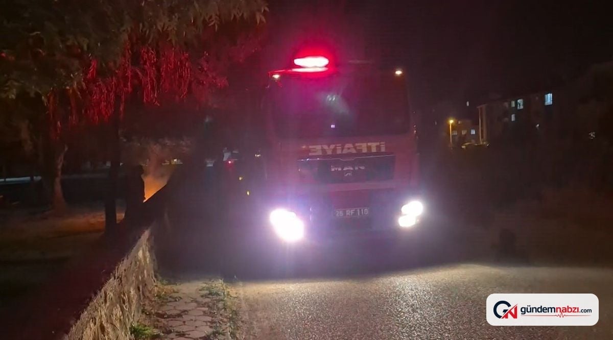 Eskişehir'de parkta kasten çıkarılan yangın ormanı tehdit etti